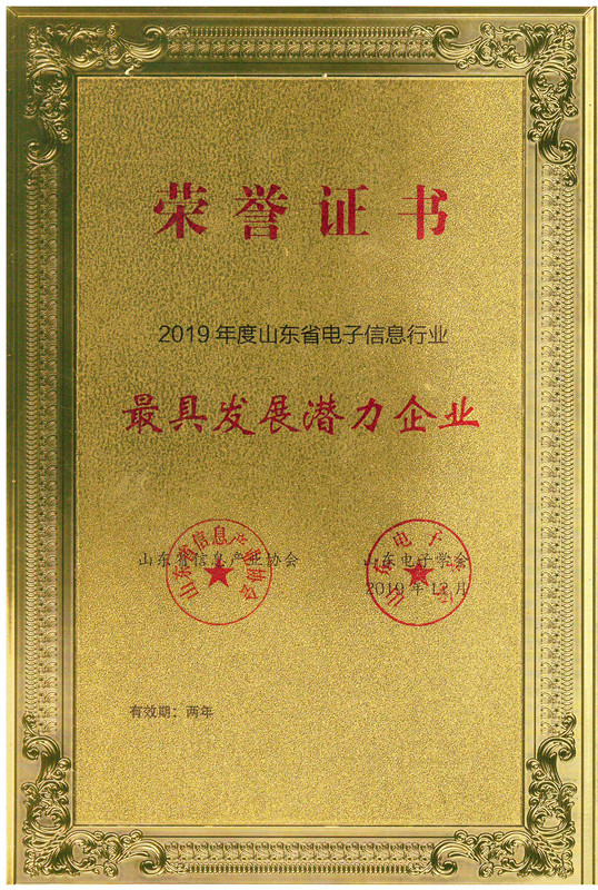 2019年山东省电子信息行业最具发展潜力企业.jpg